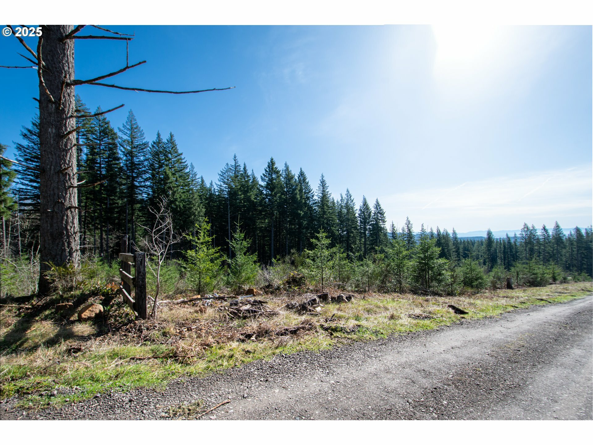 NE 94th St  Camas WA 98607 photo