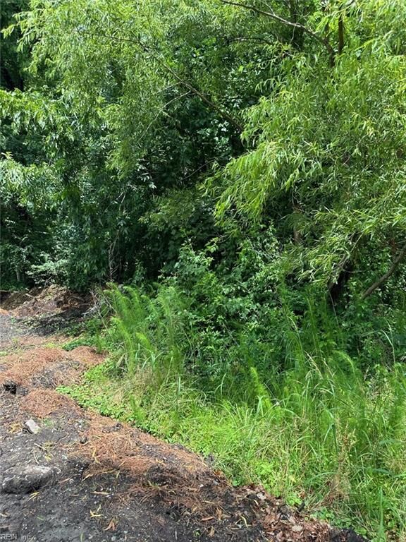 Property Photo: .18ac Clifton St VA 23435