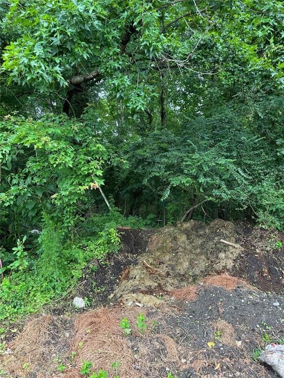 4225 Clifton St  Suffolk VA 23435 photo