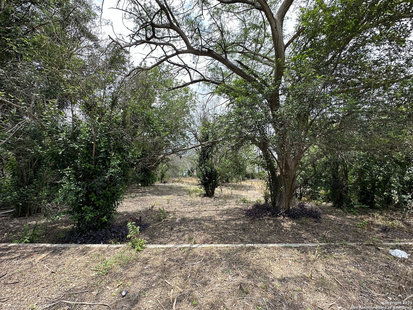 Property Photo:  139 Anderson  TX 78203 