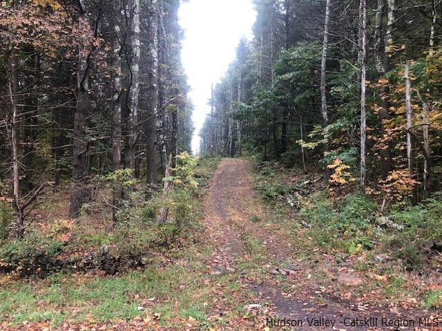 Property Photo:  673 Alcove  NY 12124 