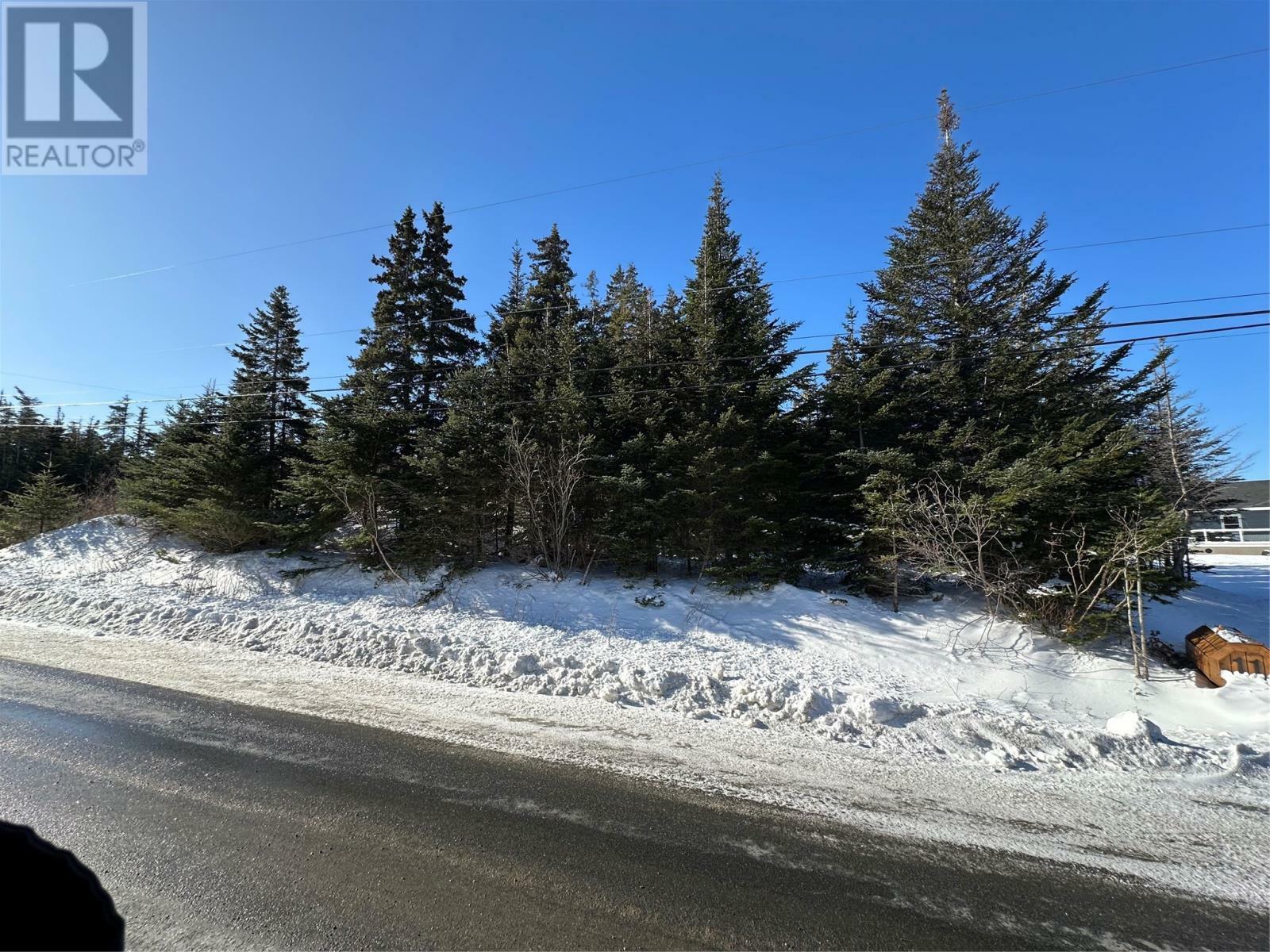 Photo de la propriété:  Lot 4 Connors Valley Road  NL A1Y 0A7 