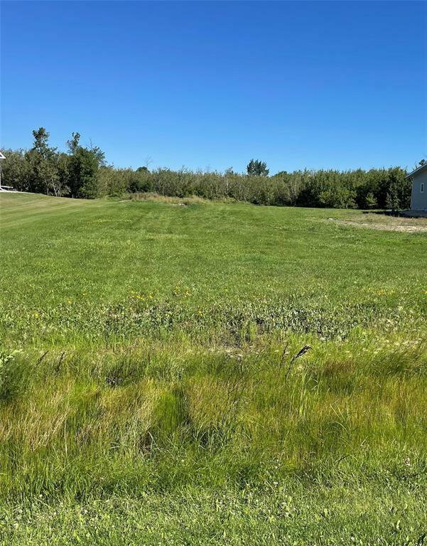 Property Photo:  50 Elie Street West  MB R0H 0H0 