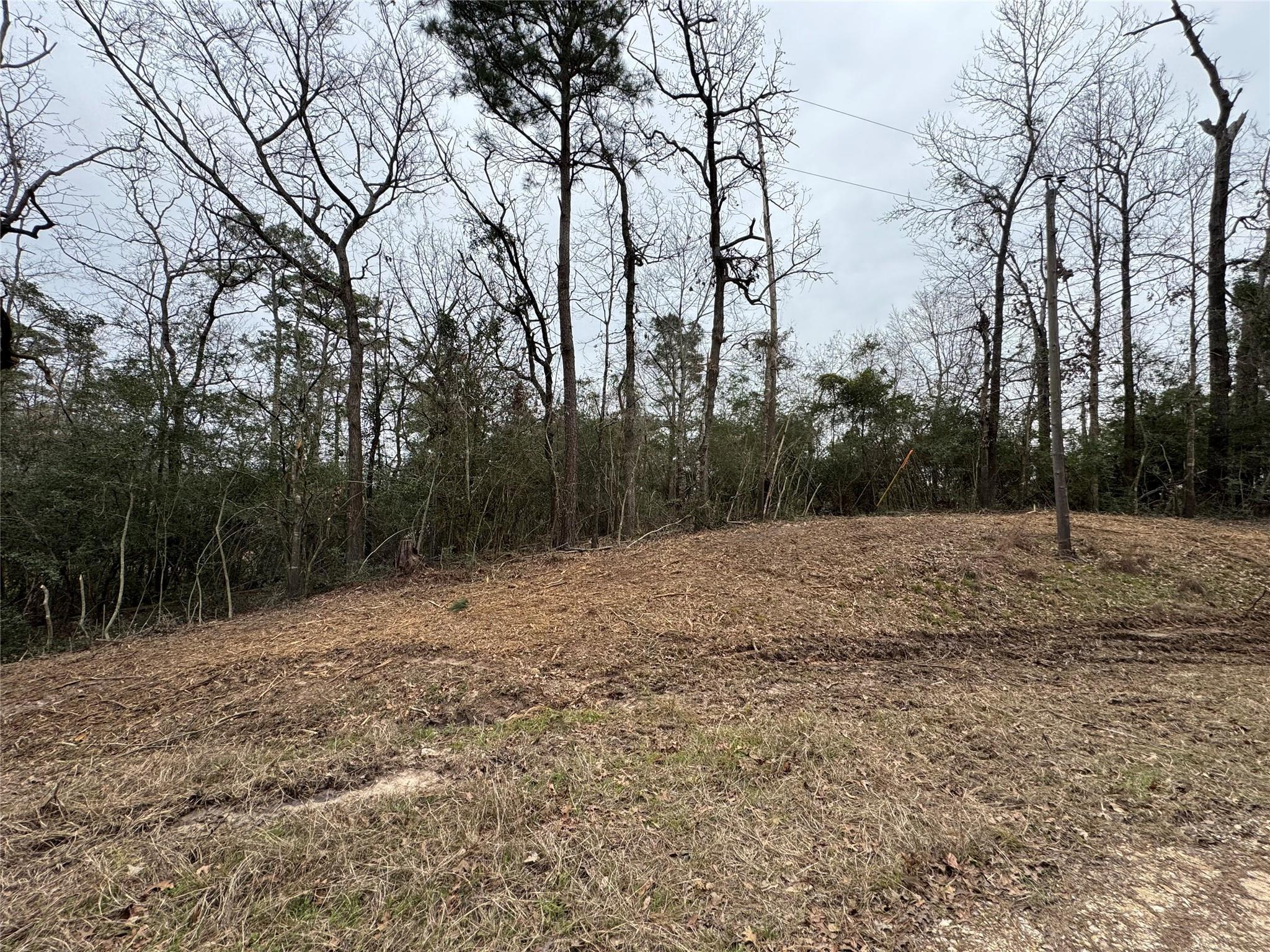 Property Photo: Tbd Wildwood Harbor Circle TX 77360