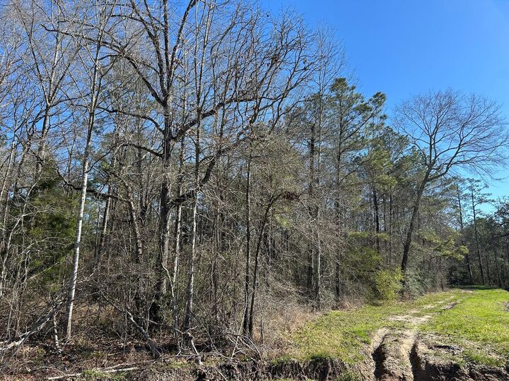 Property Photo:  1.24 Ac Circle 5  TX 77632 