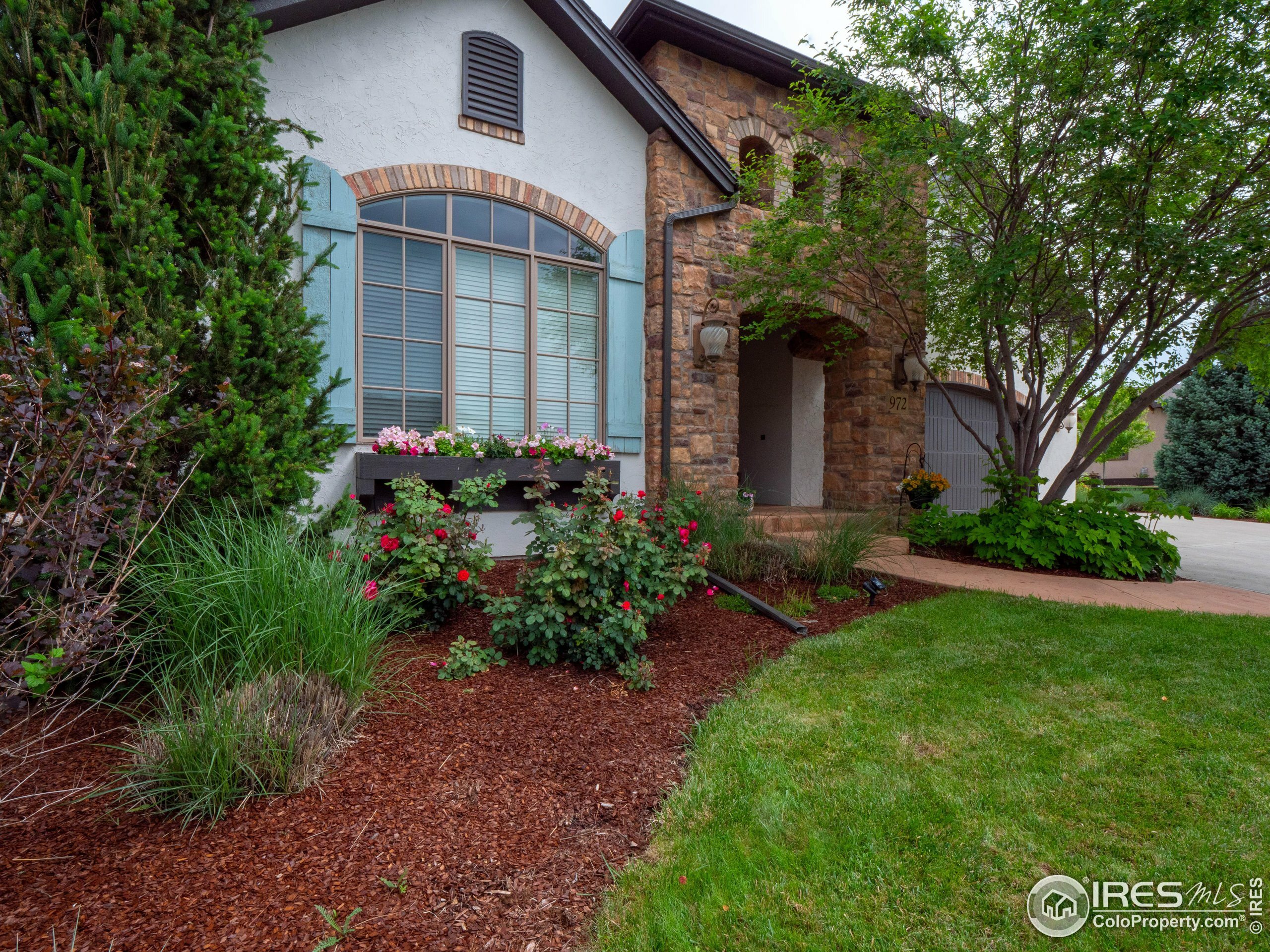 Property Photo:  972 Hawkshead St  CO 80547 