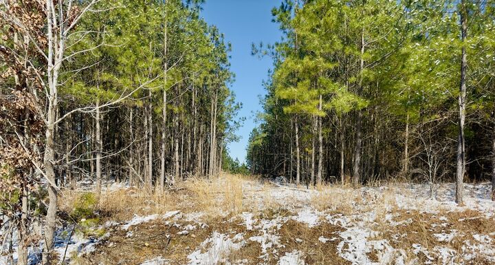 0 Walnut Grove Rd  Dover TN 37058 photo