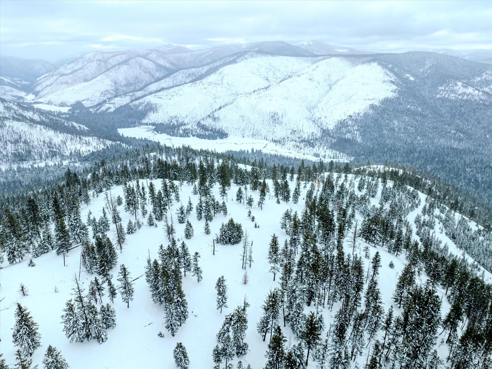 Property Photo: Nhn McGinnis Meadows - Bayhorse Road Section 1 MT 59923