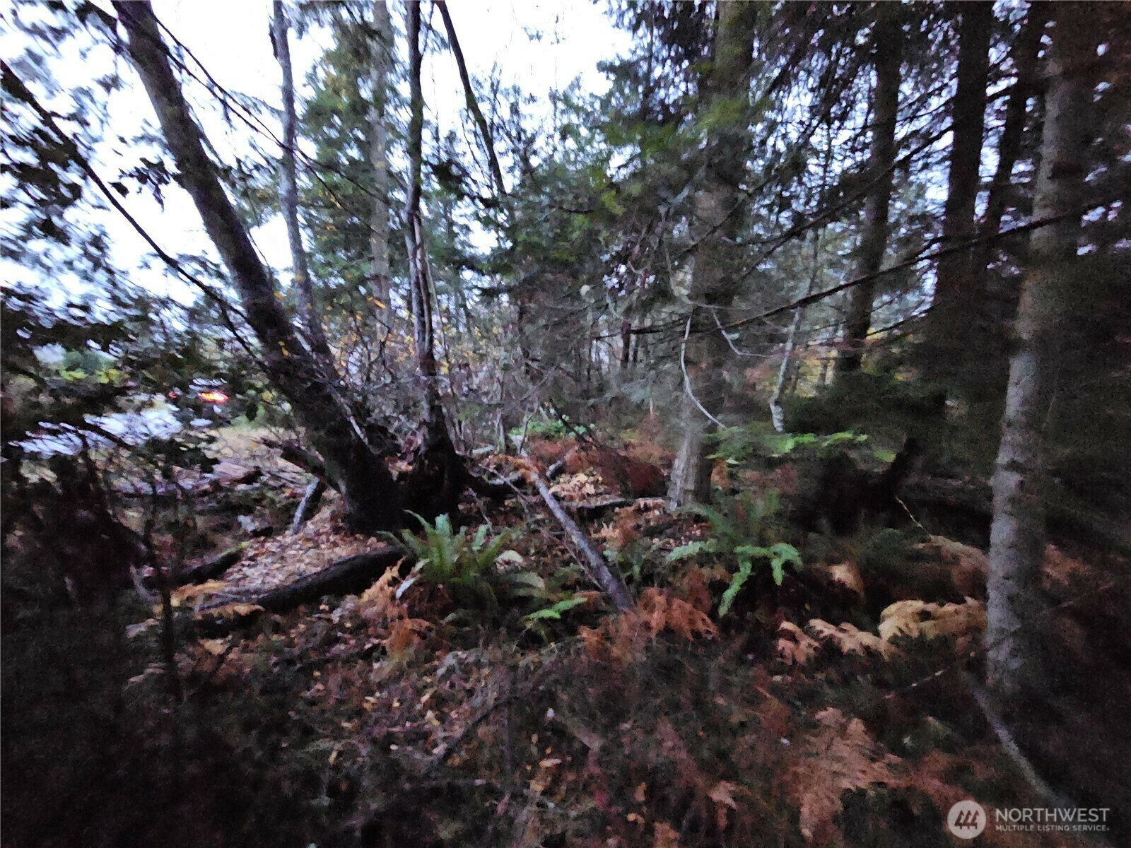 Property Photo:  0  Ledgewood Beach Road  WA 98239 