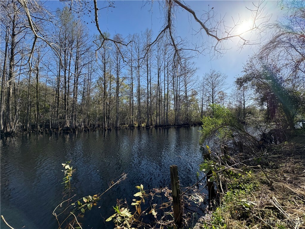 Property Photo: 10500 E Gobbler Drive FL 34436
