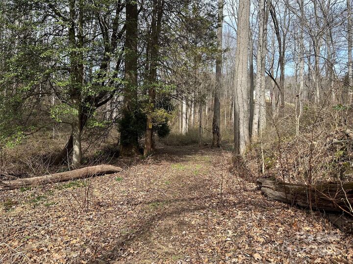 000 Big Cove Road  Candler NC 28715 photo