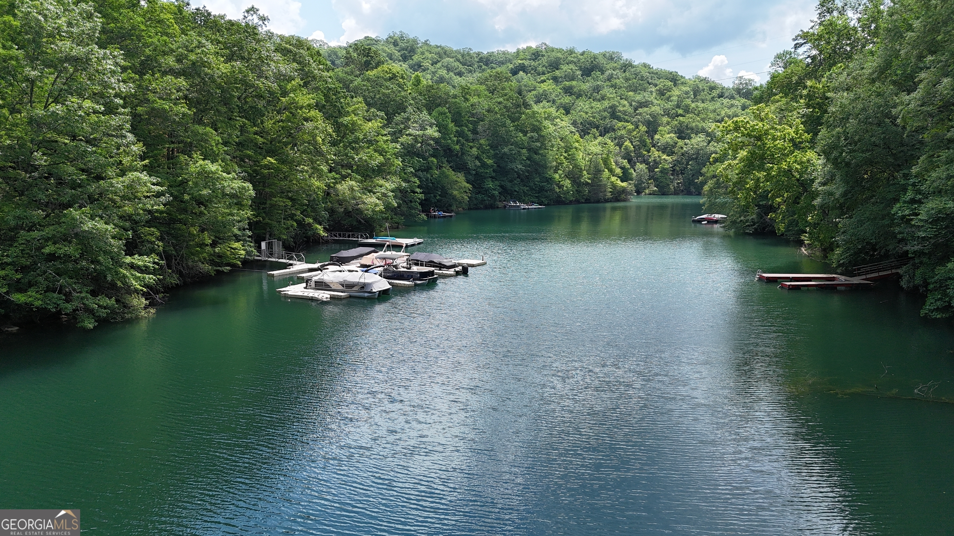 Property Photo:  967 Indian Lake Drive  NC 28781 