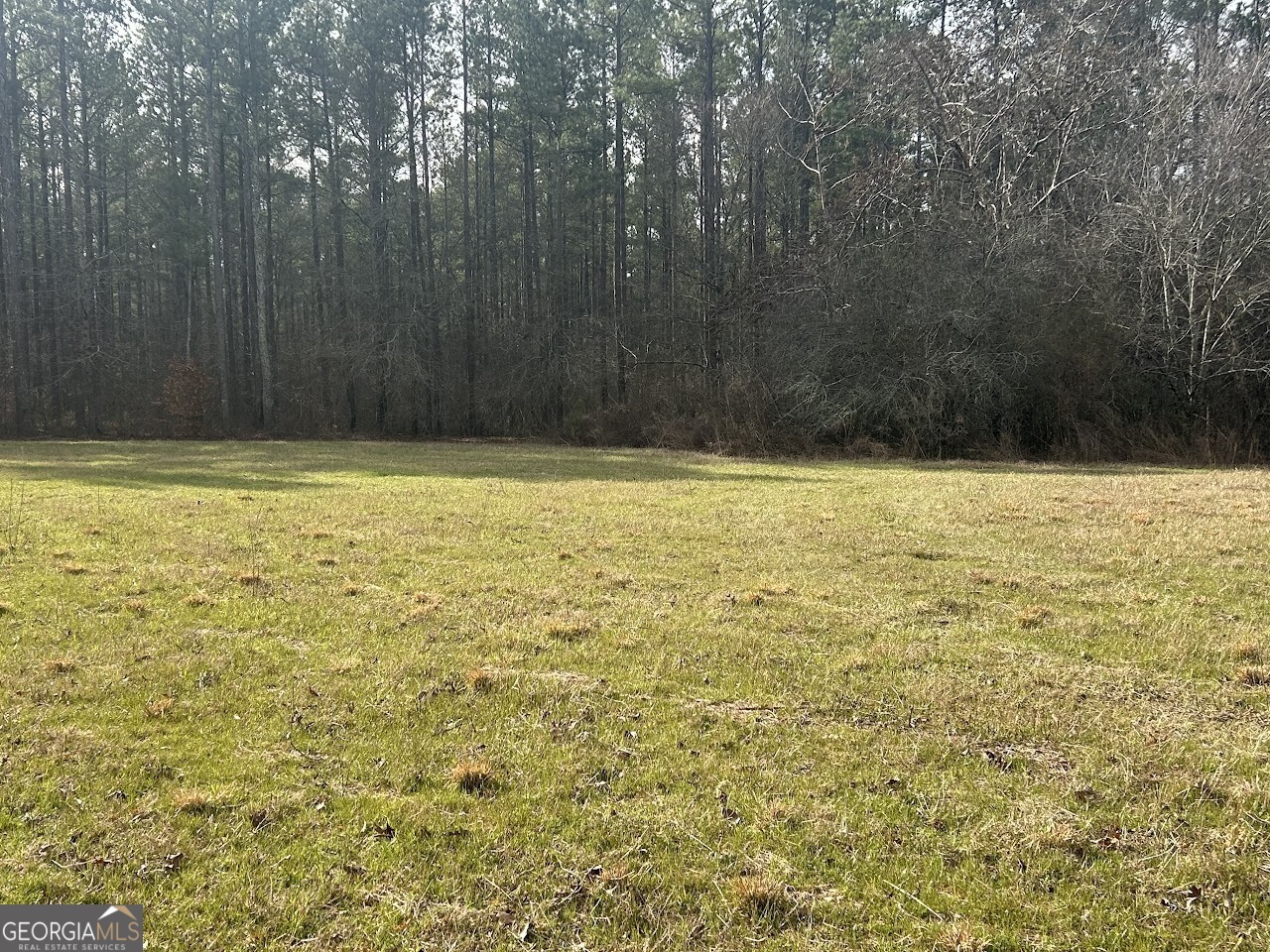 Property Photo:  208 Riversong Road  GA 30117 