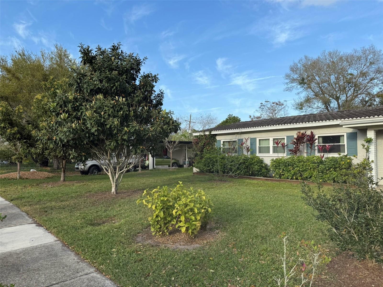 Property Photo:  161 Randia Drive  FL 32807 