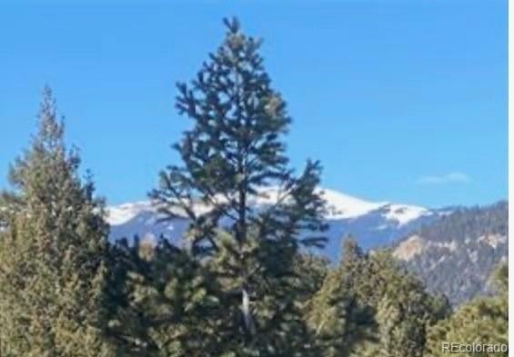 Property Photo: 33884 Bergen View Trail CO 80439