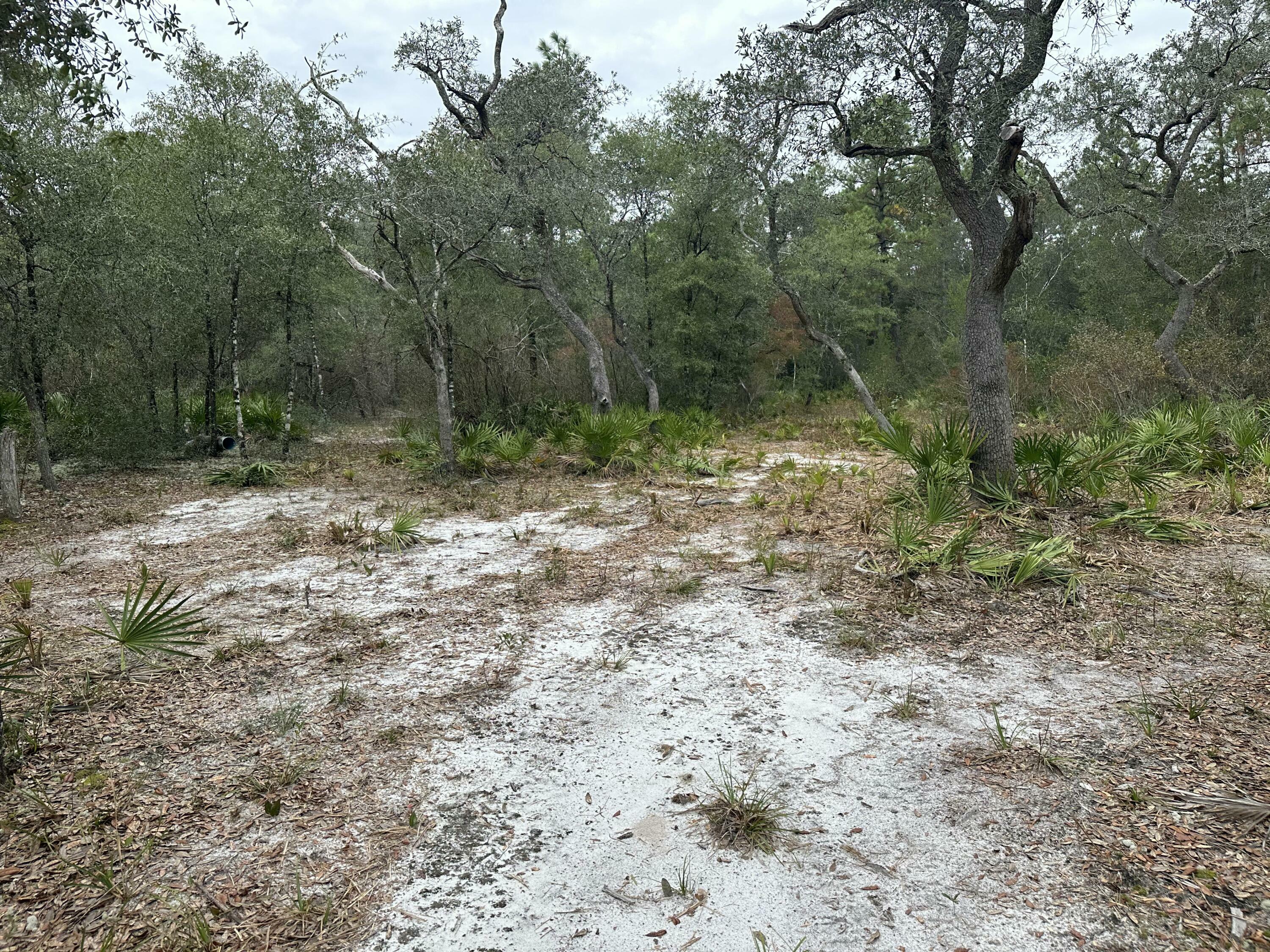 Property Photo:  Parcel D Turkey Track Street  FL 32539 