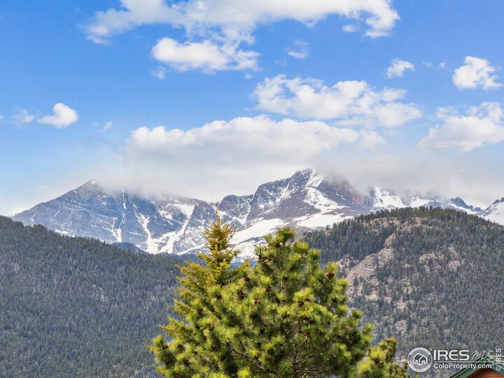 Property Photo:  321 Big Horn Dr E-4  CO 80517 