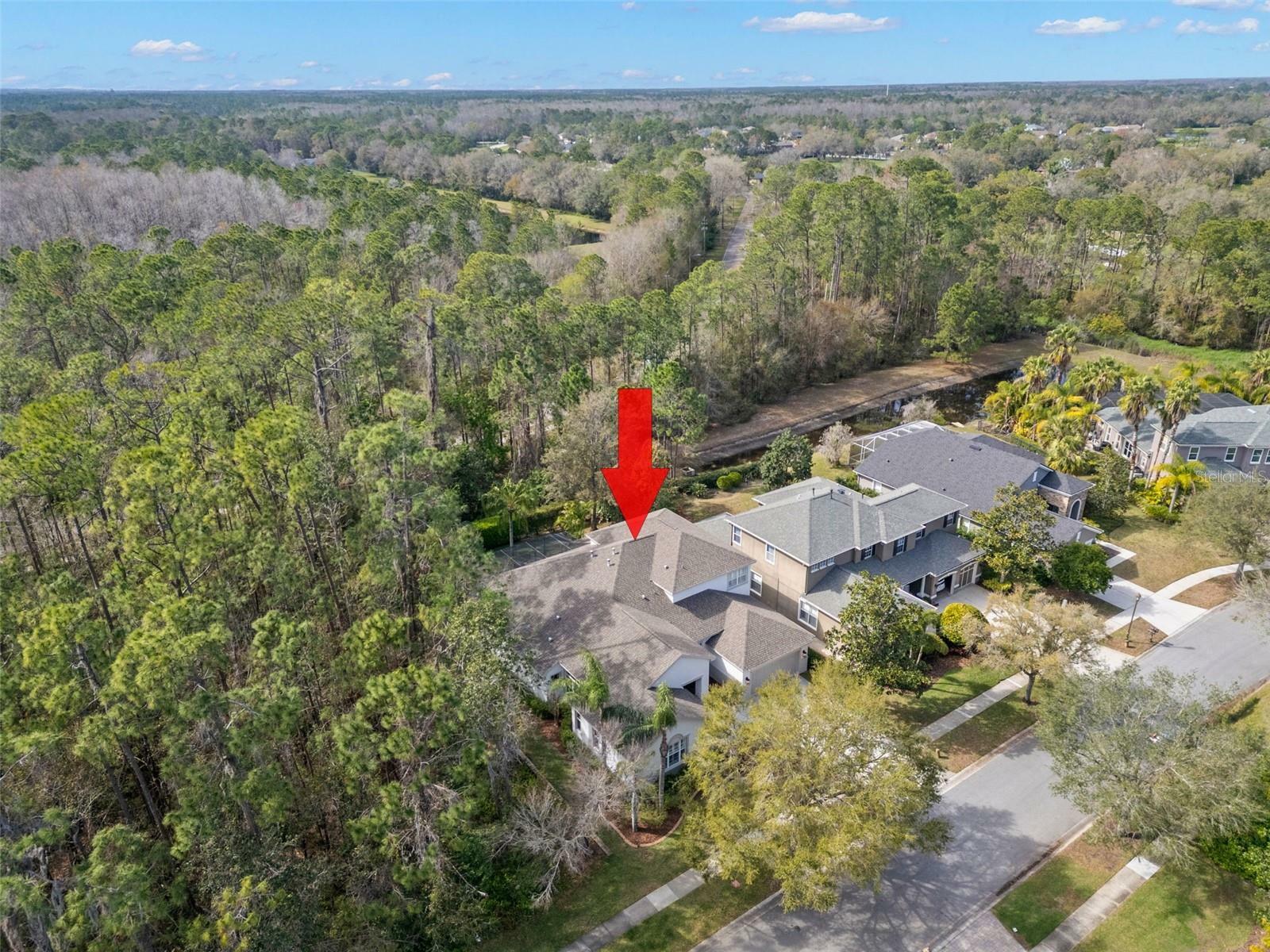 Property Photo: 14841 Tudor Chase Drive FL 33626