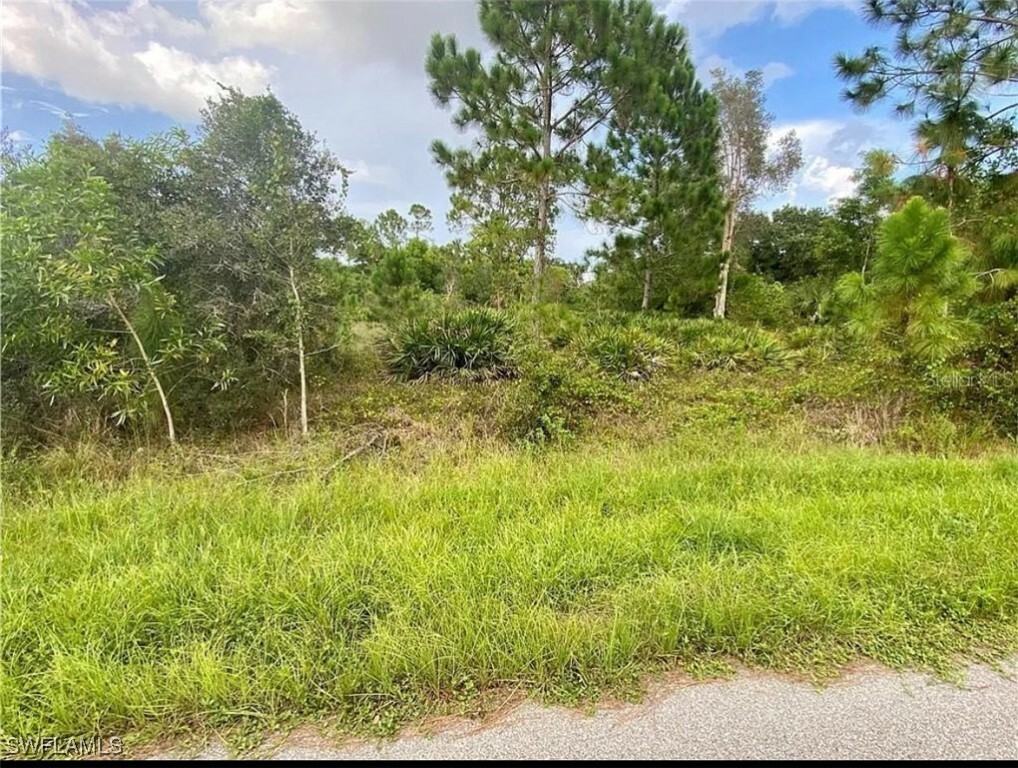 Property Photo:  11258 3rd Avenue  FL 33955 