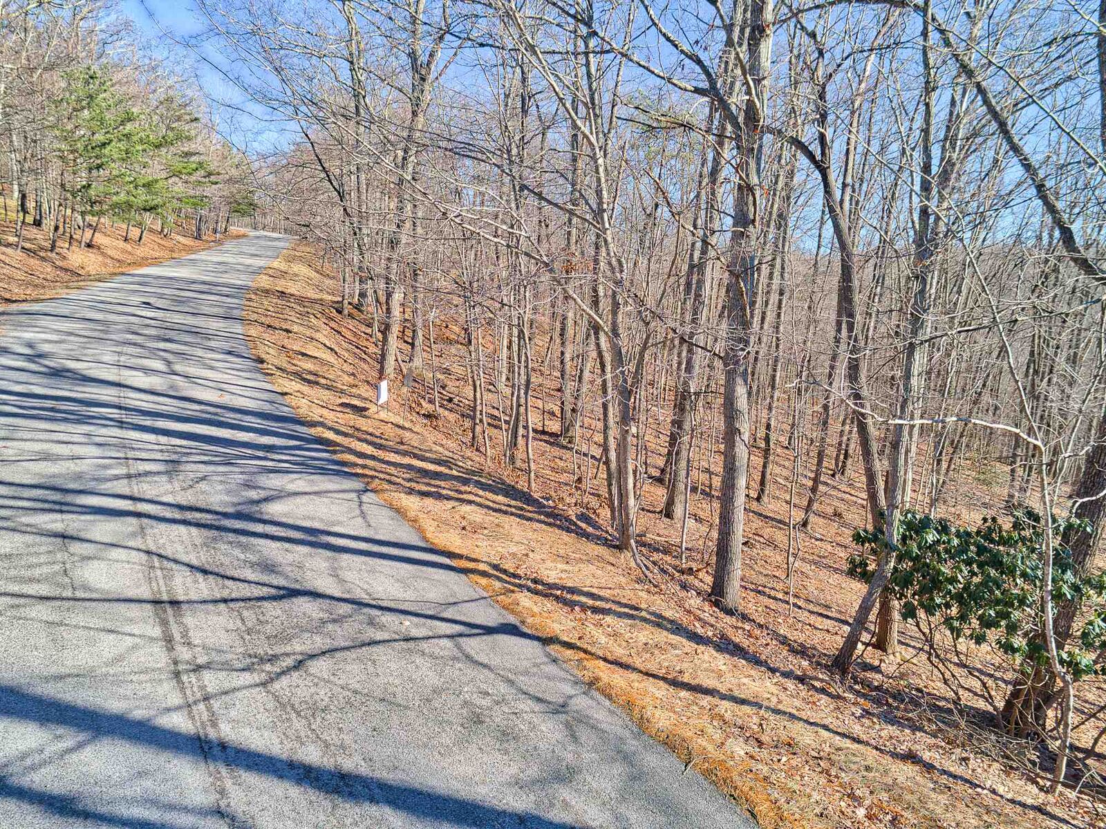 Property Photo: Lot 28 Smithfield Drive VA 24060
