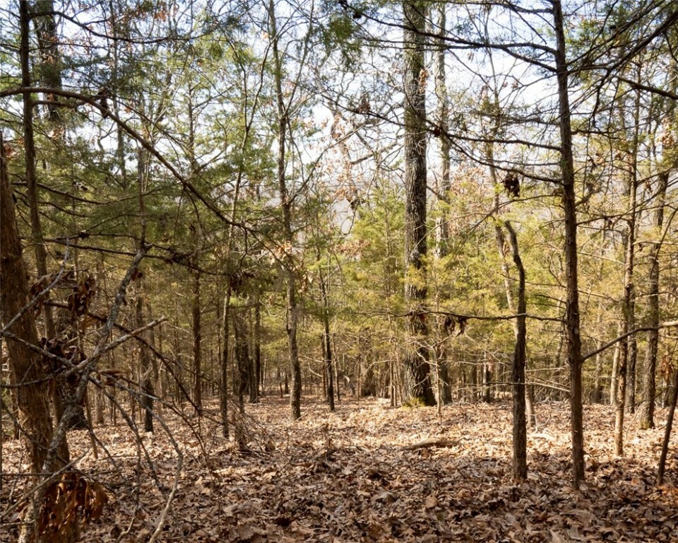 Property Photo: Lot 64 Rocky Ridge Place AR 72732