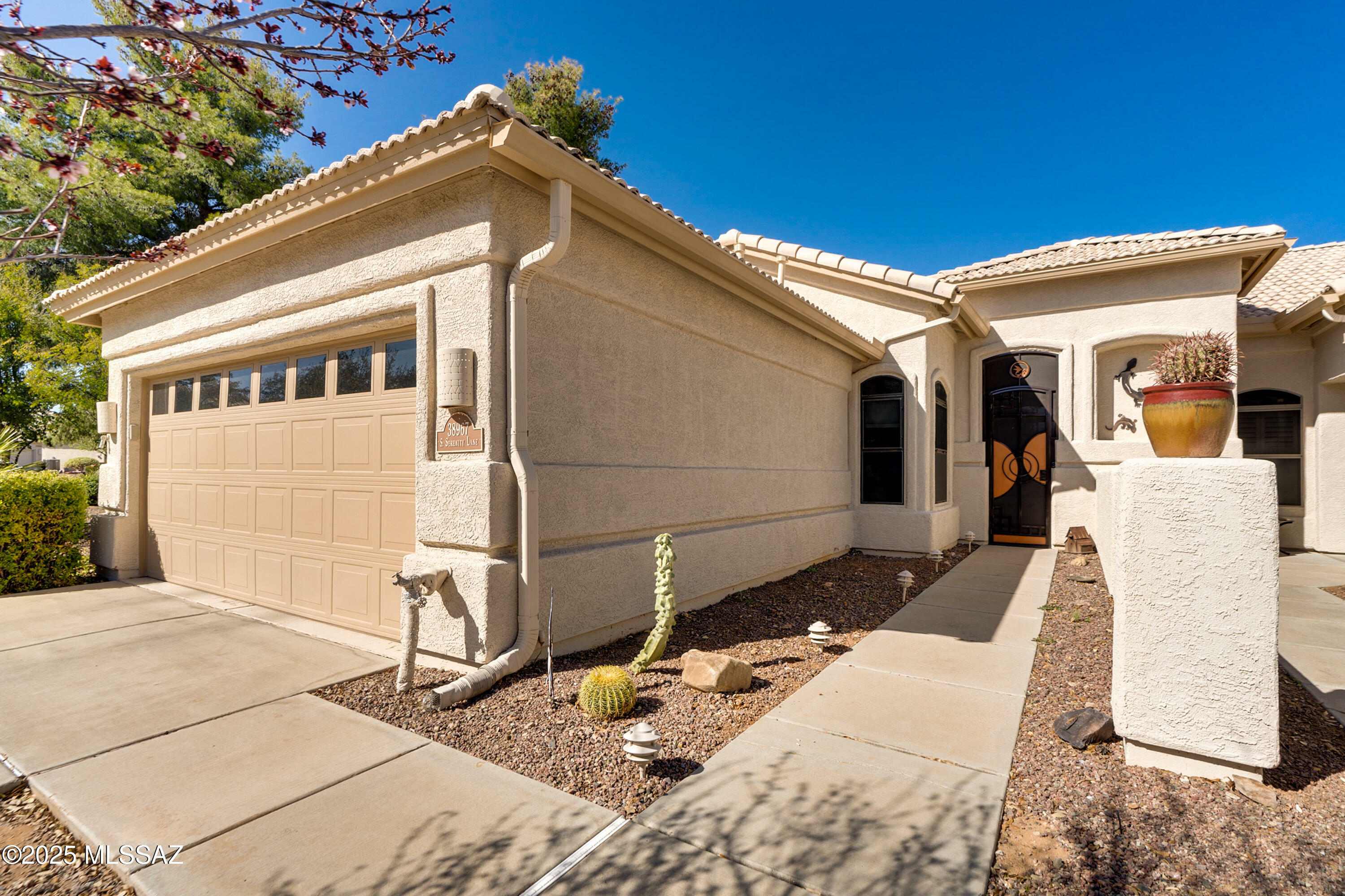 Property Photo:  38967 S Serenity Lane  AZ 85739 