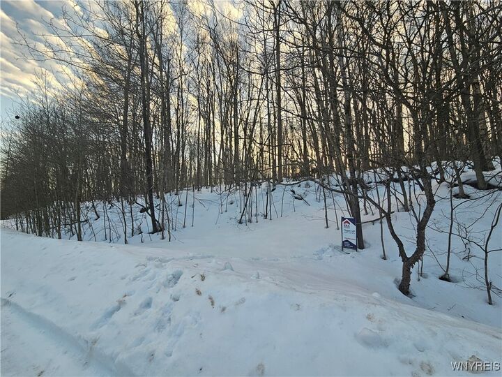 Property Photo:  Dublin Terrace Road  NY 14779 