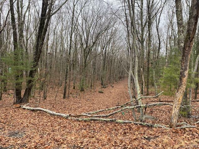 9-13 Mimosa Road  Middle Smithfield Twp PA 18302 photo