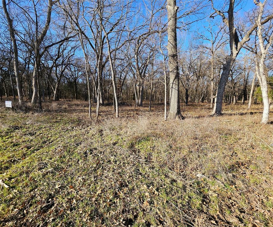 Photo de la propriété:  Lot 221 Banjo Court  TX 76225 