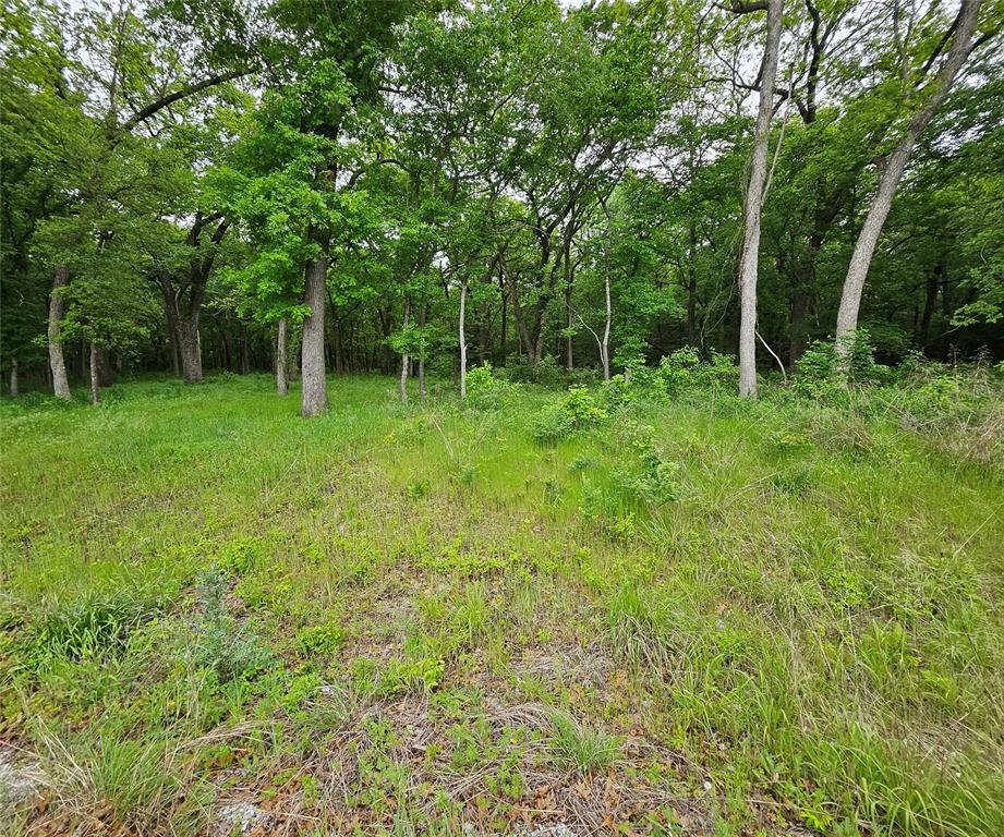Lot 221 Banjo Court  Alvord TX 76225 photo