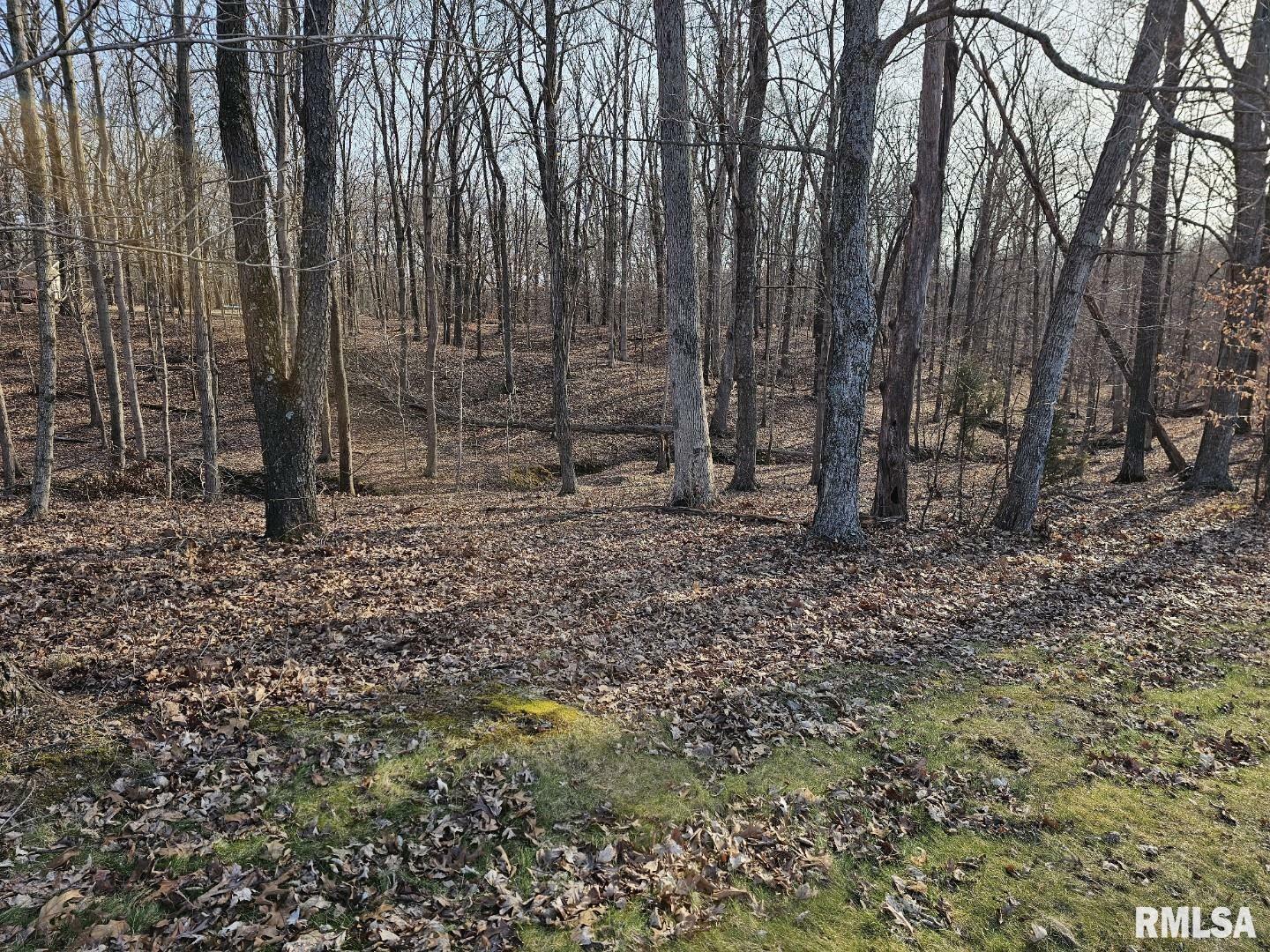 Property Photo:  Lot 2 E Whipporwill Road  IL 62864 