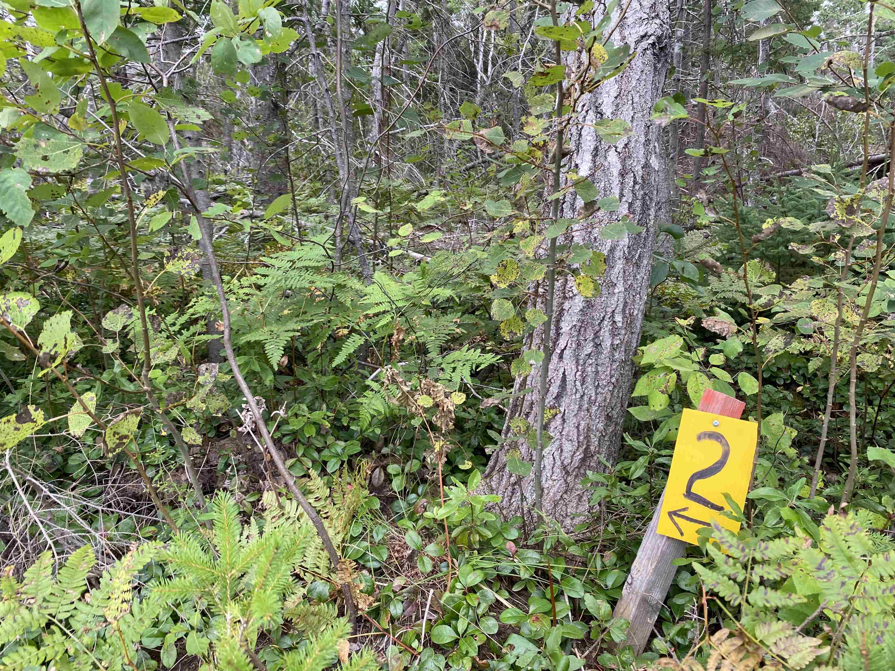 Photo de la propriété: Lot 2 Floating Bridge Road PE C0A 1W0