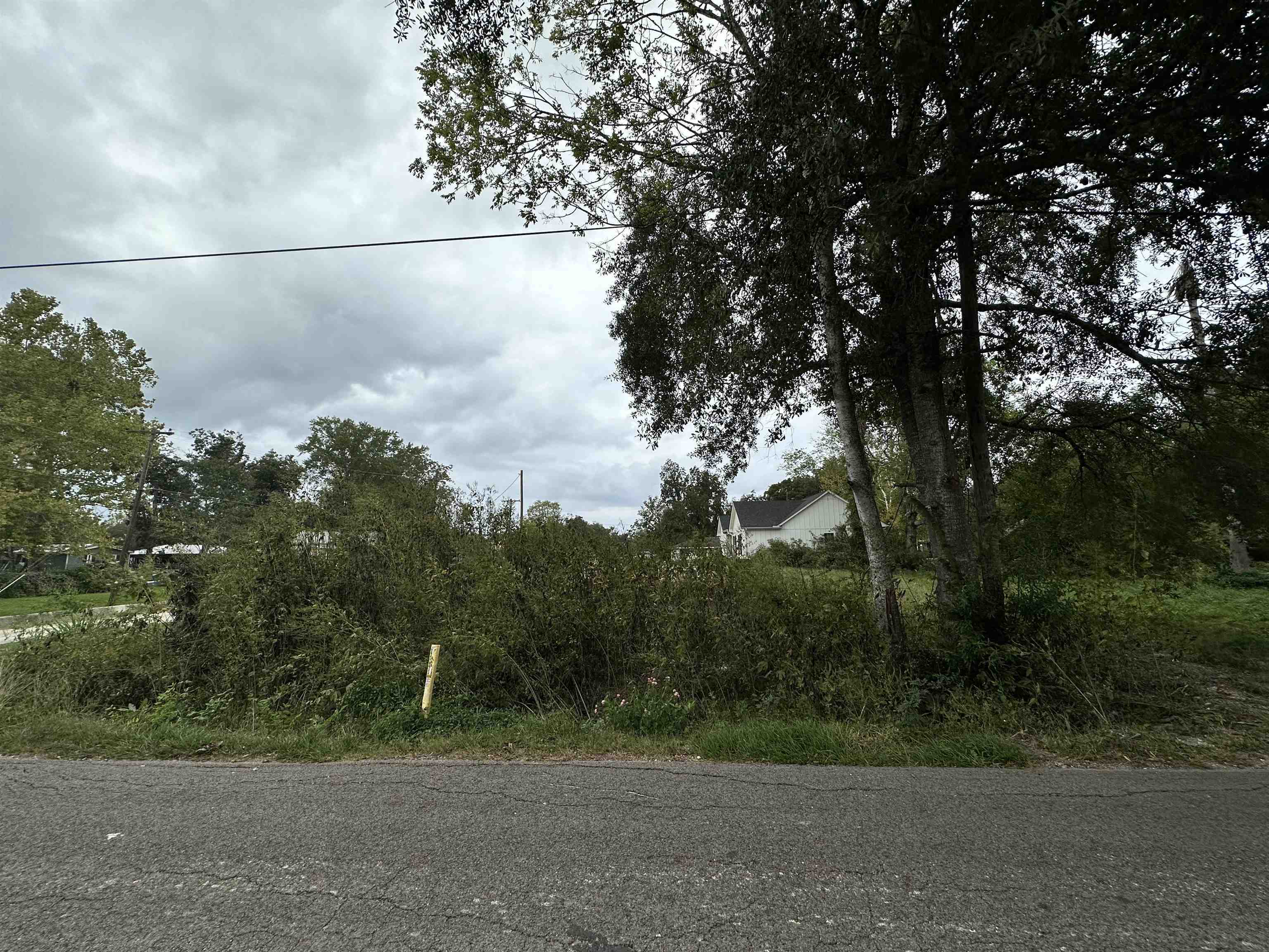 Property Photo: 490 W Barfield TX 77659