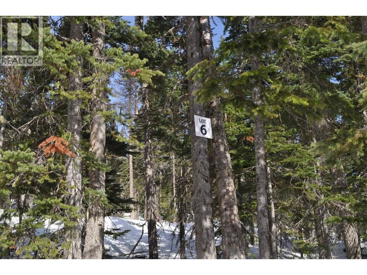 Lt 6 Alpine Way Pr. St — photo 1