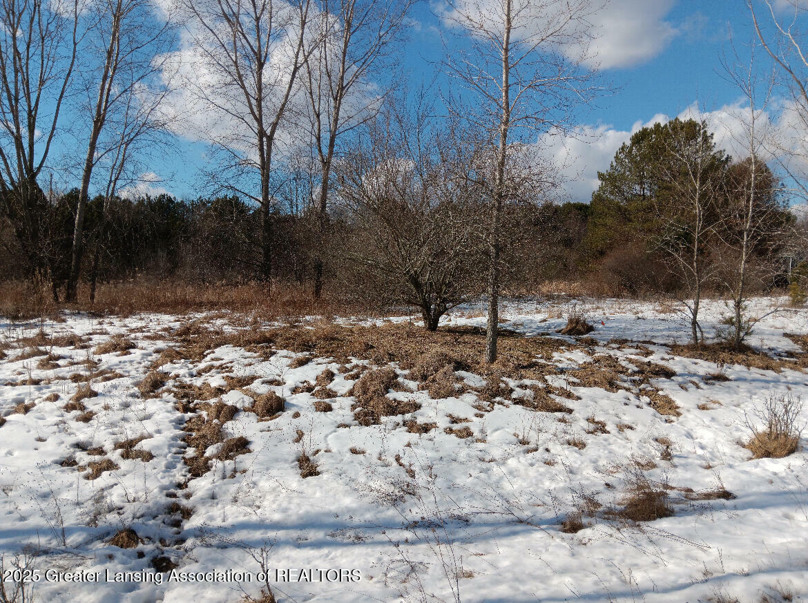 Property Photo:  8 Bennington Greens  MI 48867 