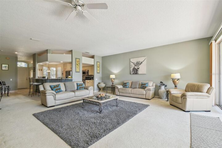 Property Photo:  4410 Sawgrass Drive  FL 34685 