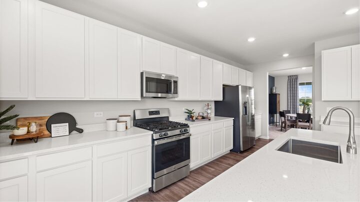 Property Photo:  303 Danforth Drive  IL 60543 