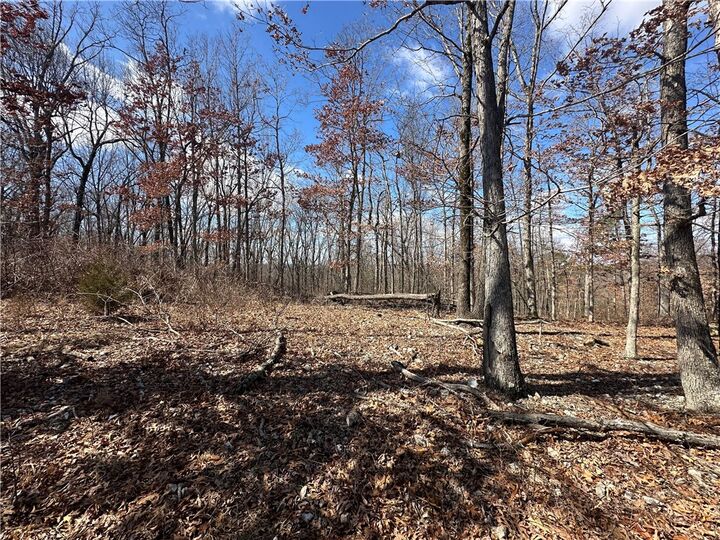 Property Photo: 1548 County Road 731 AR 72616