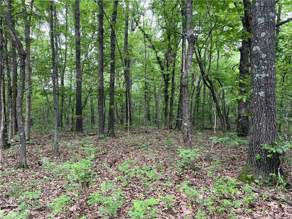 Property Photo:  Tract X On Meadow Creek Drive  AR 72601 