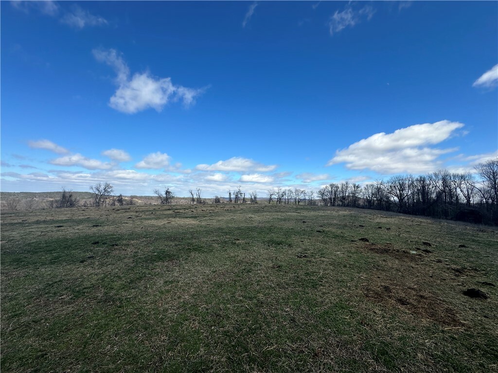 Property Photo: 1061 County Road 731 AR 72616