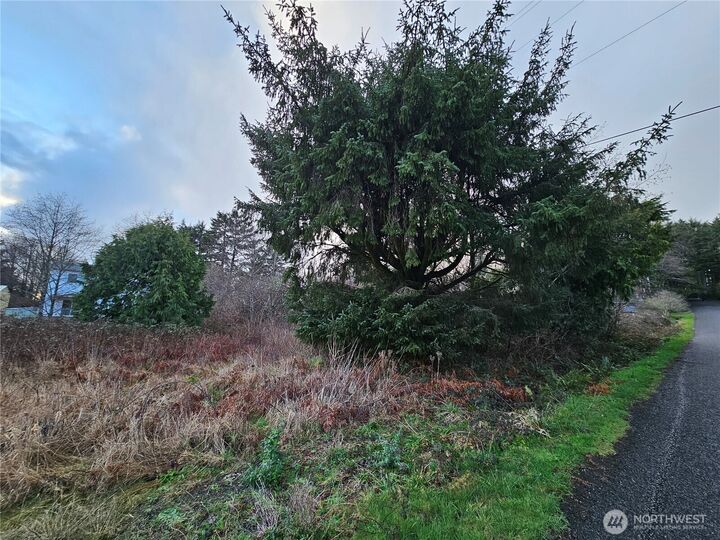 Property Photo:  19 N 3rd Street  WA 98571 