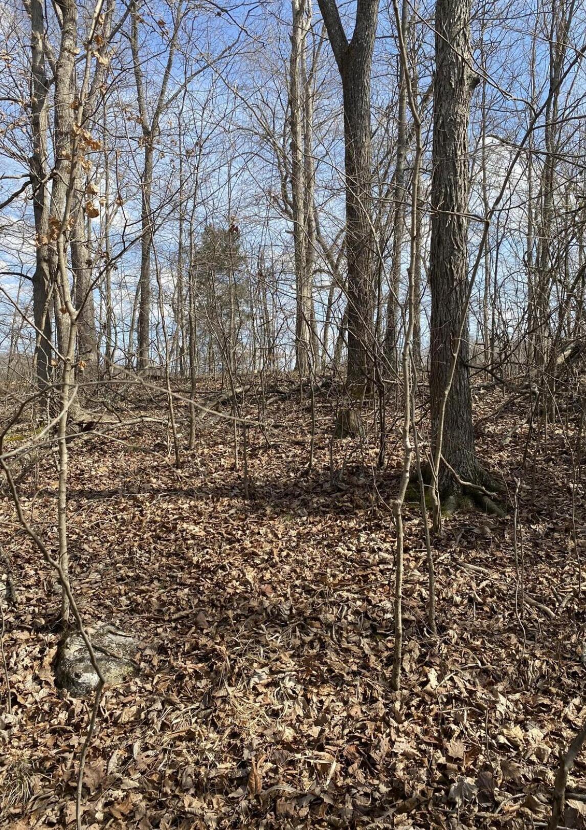 Property Photo:  Lot 3 North Fork Road  KY 42519 