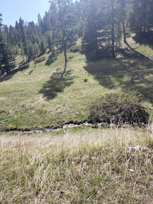 Property Photo: Sec 21 T08n R08e Spencer Spencer MT 59645