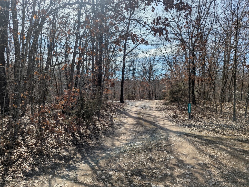 Property Photo: Bill Billings Road AR 72732