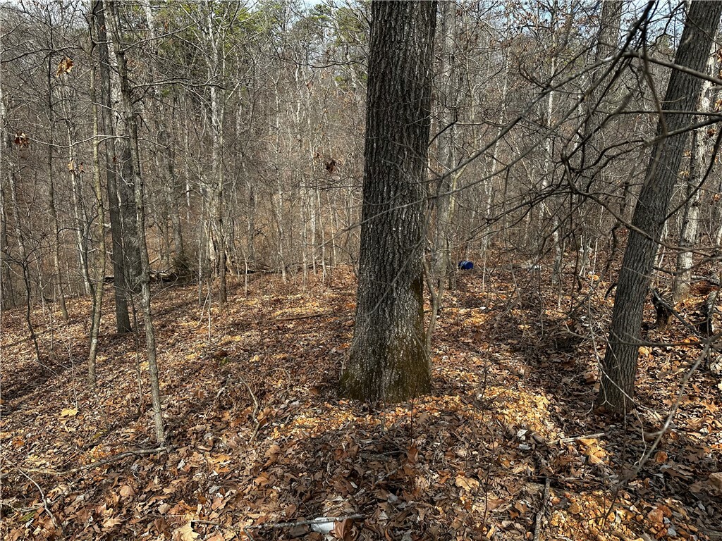 Property Photo:  Lot Rufford Lane  AR 72714 