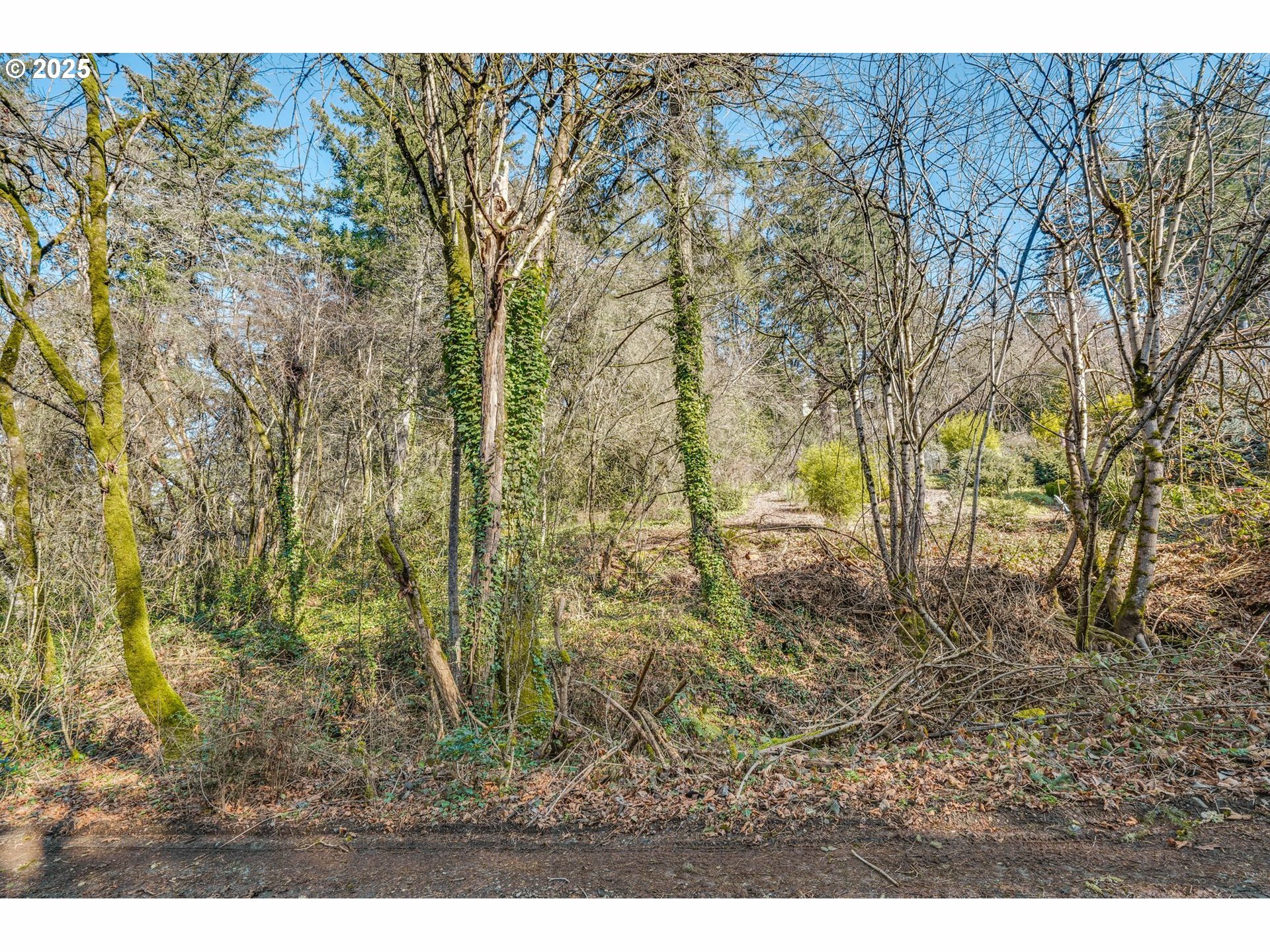 Property Photo: