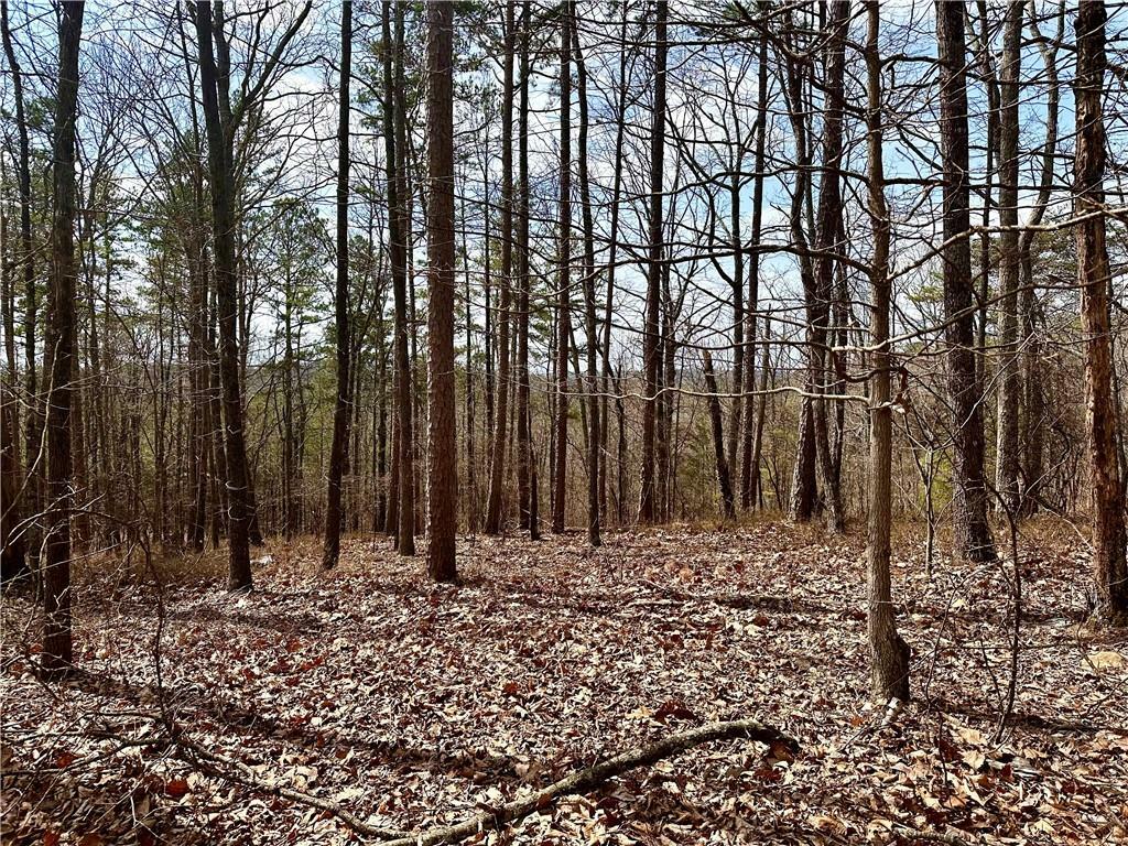 1344 Hunter Drive  Ranger GA 30734 photo