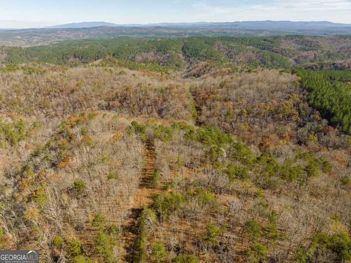 Property Photo:  1345 Hunter Drive  GA 30734 