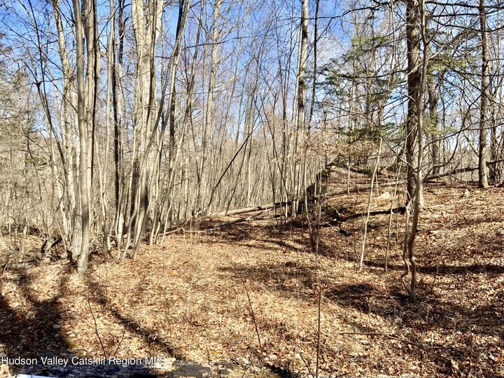 Property Photo:  Tbd Hawleys Corner  NY 12528 