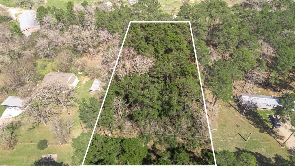 N/A Blue Lake Drive  Plantersville TX 77363 photo